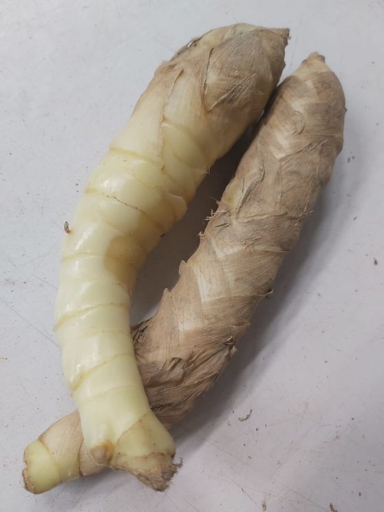 新界有機竹芋(竹薯) | 快樂家庭網上店 - 最用心入貨的網上食材Select Shop